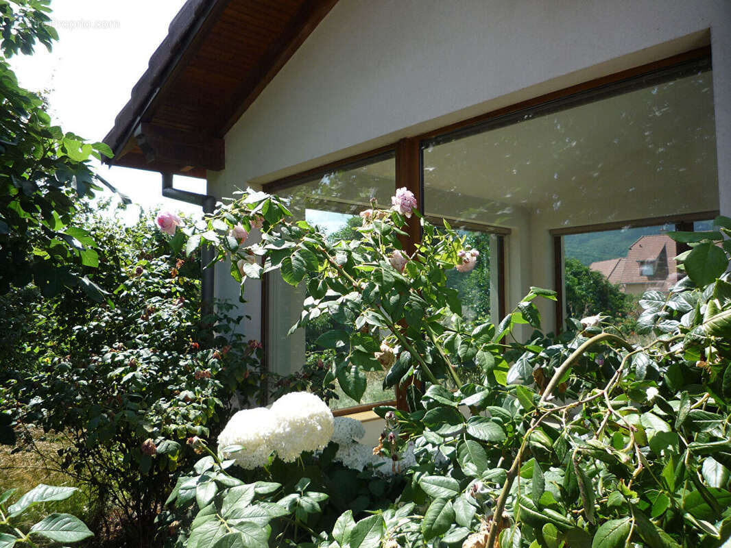 Maison à BERRWILLER