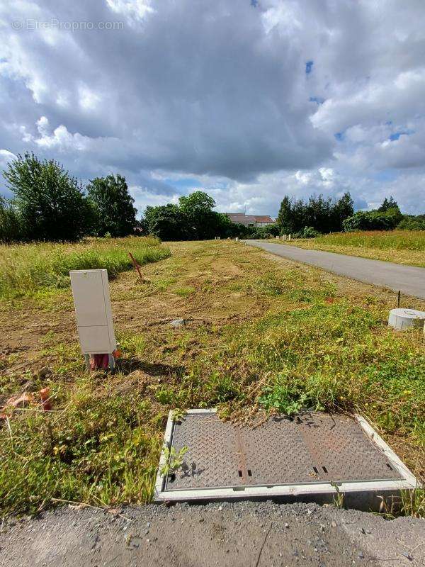 Terrain à AUBERCHICOURT