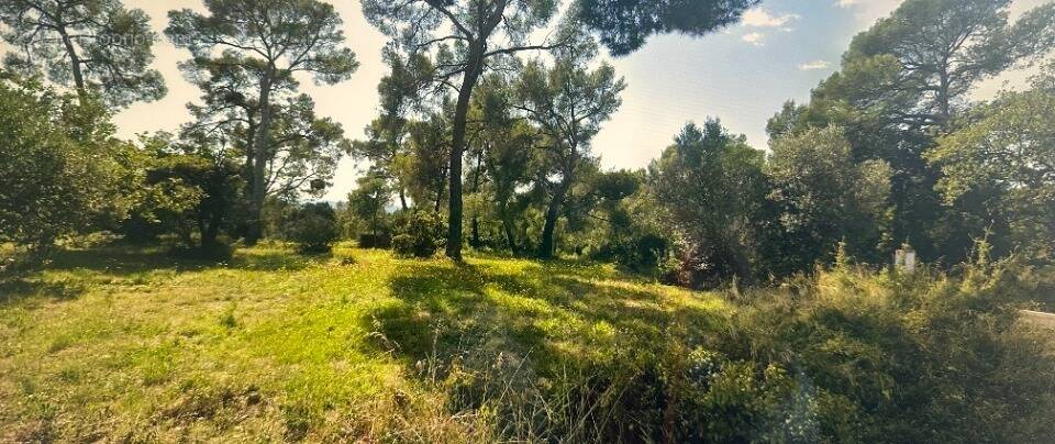 Terrain à SANARY-SUR-MER