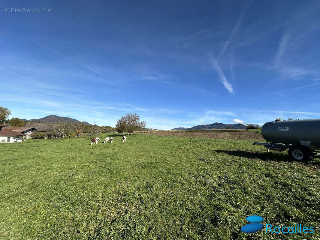 Terrain à FAUCIGNY