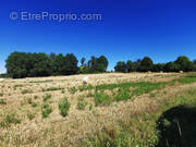 IMG_20220803_105242 - Terrain à VARAIGNES