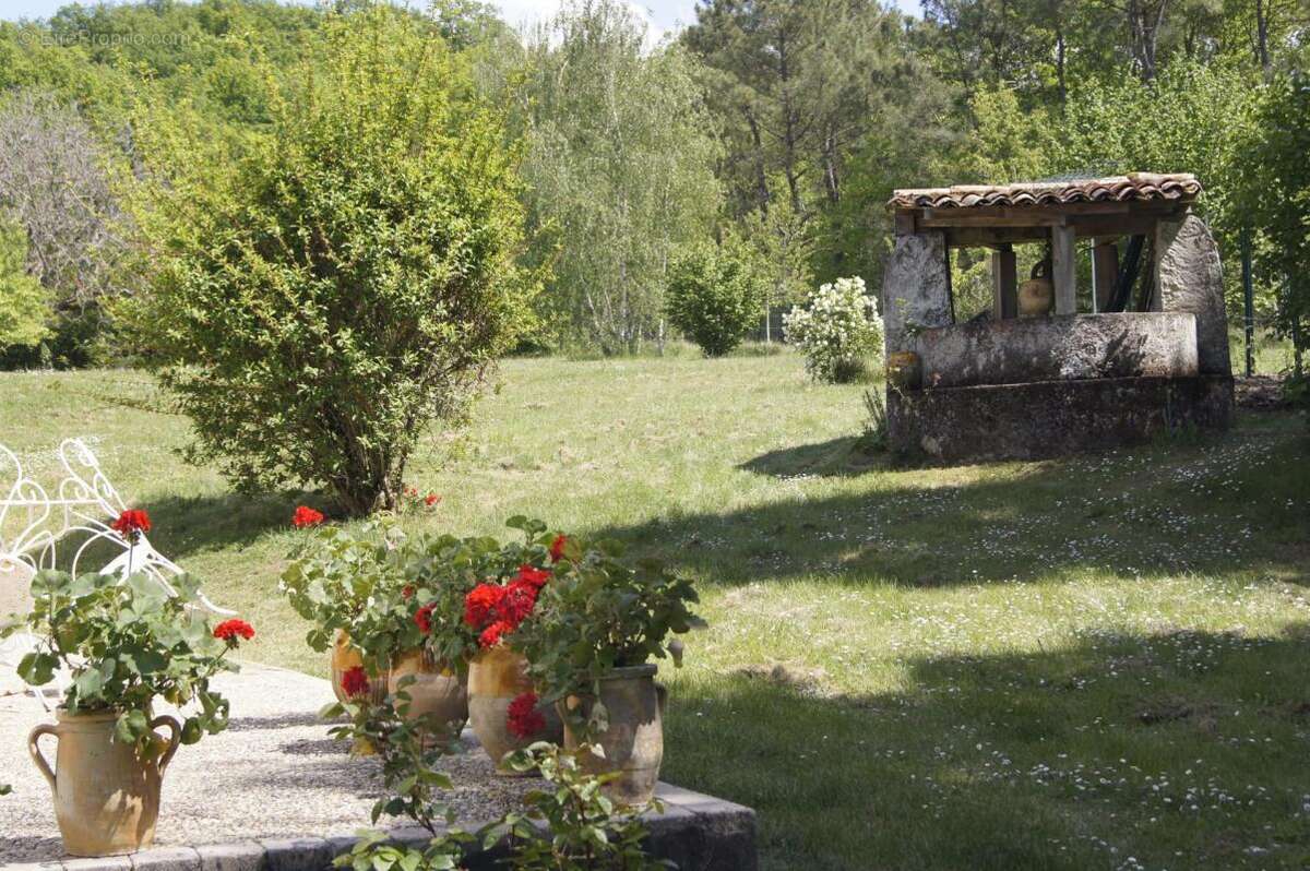 Croignon (gironde) - propriete de charme a la campagne - photo 6