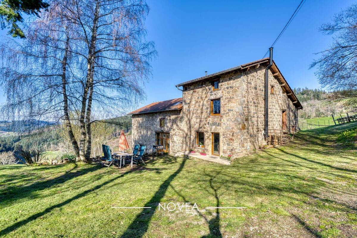 Maison - Maison à SAINT-IGNY-DE-VERS