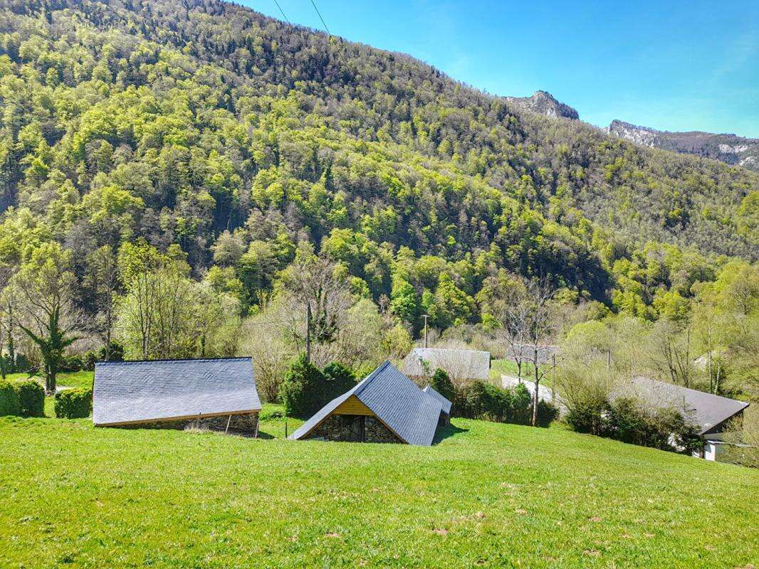 Deux granges à rénover dans les montagnes Ossaloises - photo 6
