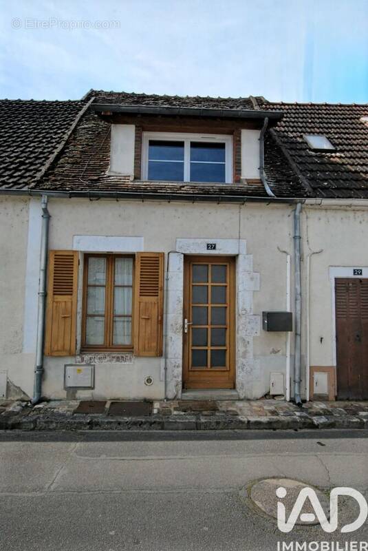 Photo 1 - Maison à OUZOUER-SUR-TREZEE