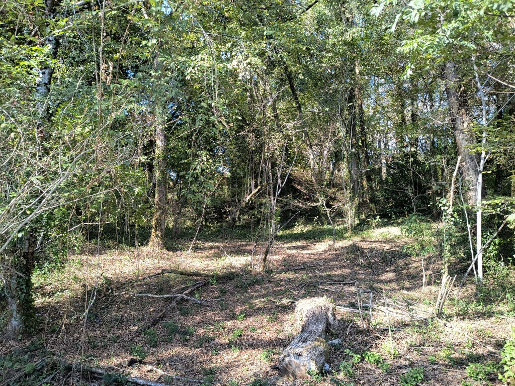 Terrain à BRIVE-LA-GAILLARDE