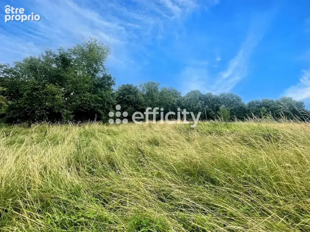 Terrain 3 000 m² à vendre à Gageac-Et-Rouillac (24240) - photo 4