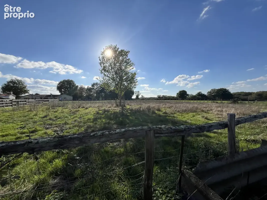 Au Cellier, maison rénovée 150 m2 - 6 pièces sur 4600m2 de terrain - photo 17