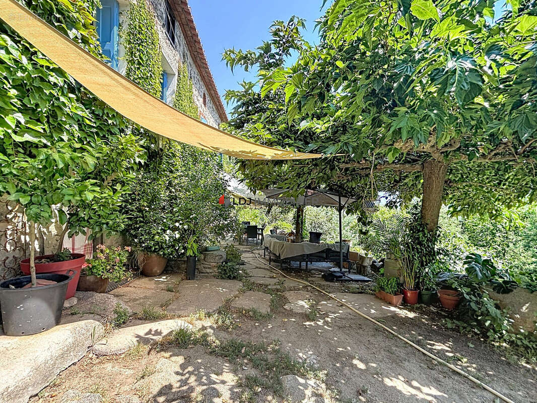 Maison 250 m² à Mosset  - photo 4