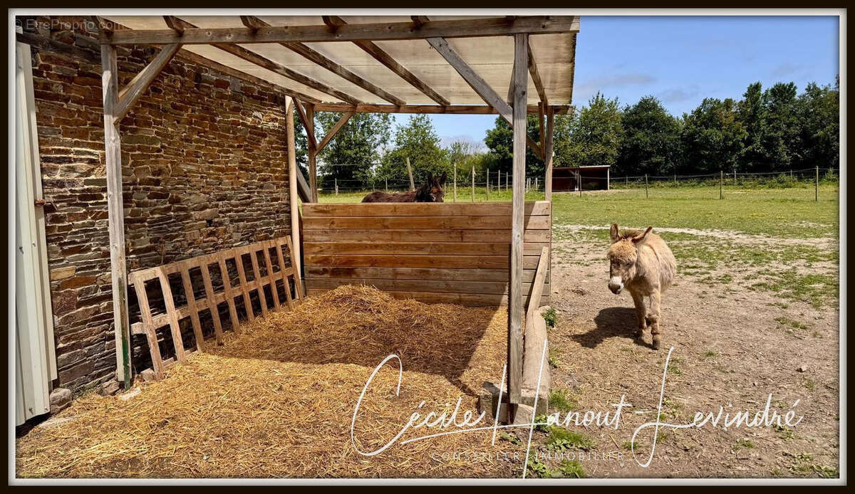 AUCEY LA PLAINE- Proche Mt St Michel-  Ensemble immo Maison: 270 m2 hab. + Dépendances pierre + Terrain 1,7 ha - photo 31
