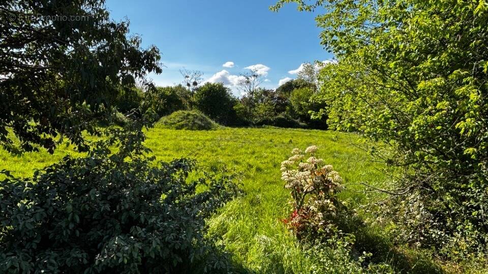 Terrain à CAMBLANES-ET-MEYNAC