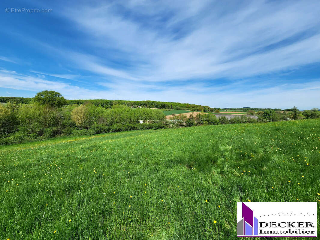 Maison à SCHILLERSDORF