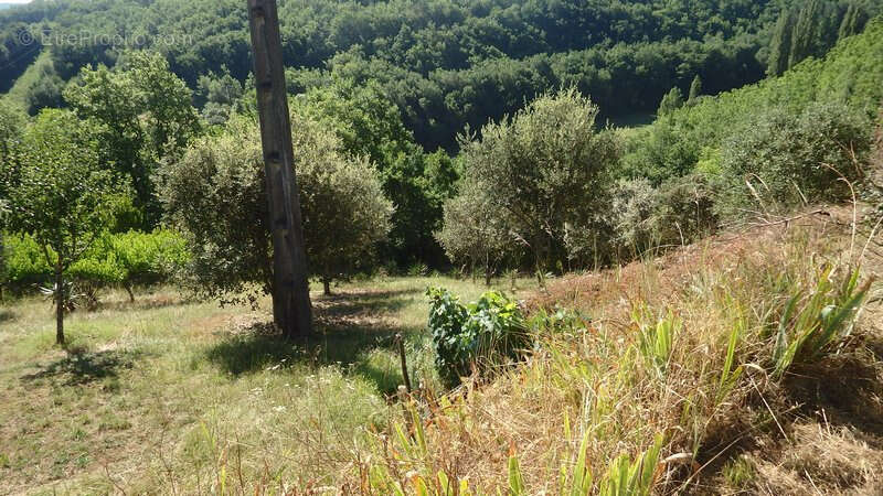 Maison à ALLAS-LES-MINES