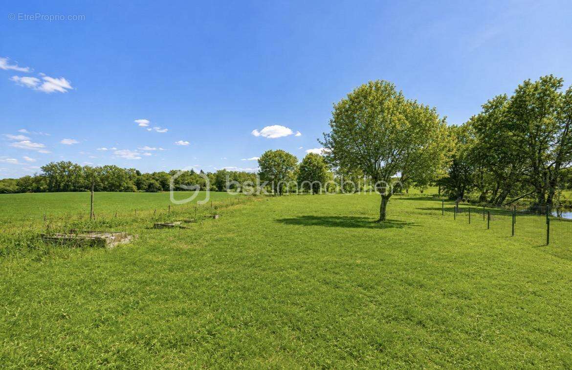 Créez la maison qui vous ressemble dans un environnement privilégié - photo 4