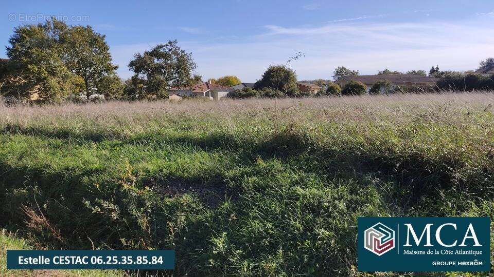 Terrain à SAINT-PERDON