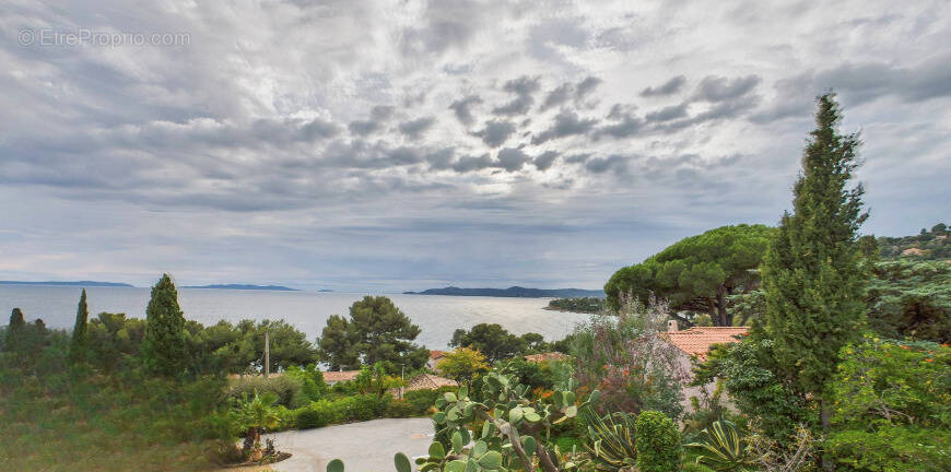 Terrain à LE LAVANDOU