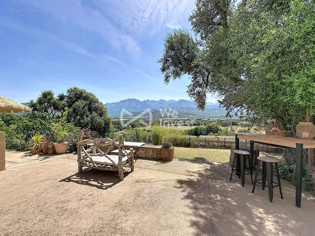 Maison 443 m² à Calvi  - photo 7