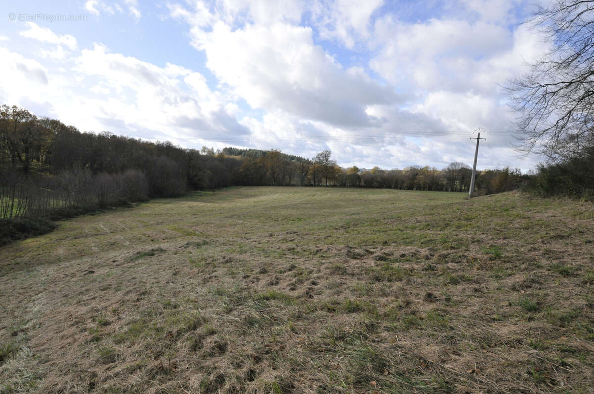 Terrain à VICQ-SUR-BREUILH