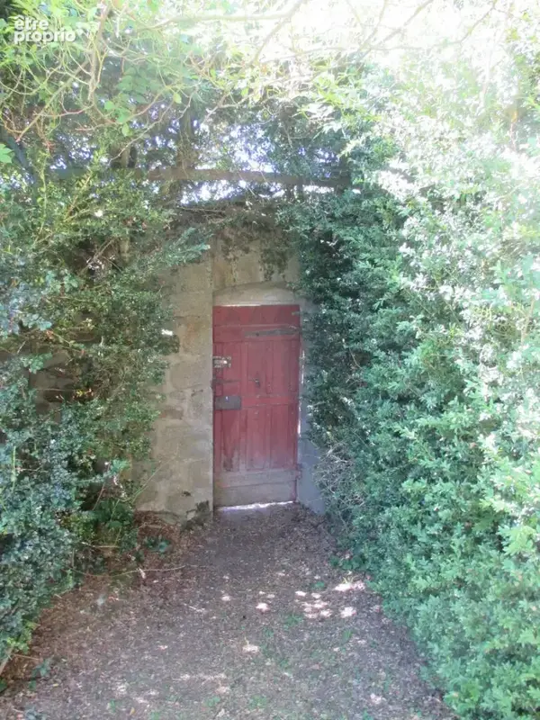 Château historique dominant les gorges de la Dore - photo 22