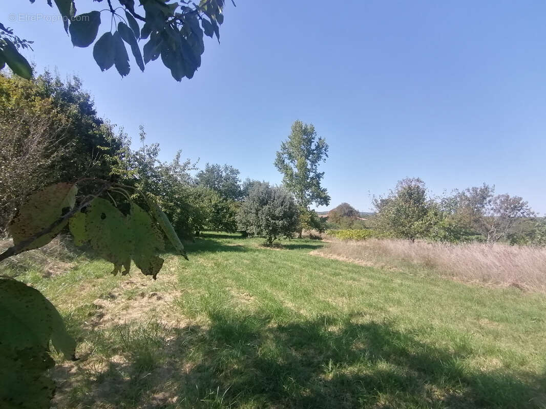 Authentique maison en pierre avec terrain et dépendances à Loubers (81) - photo 6