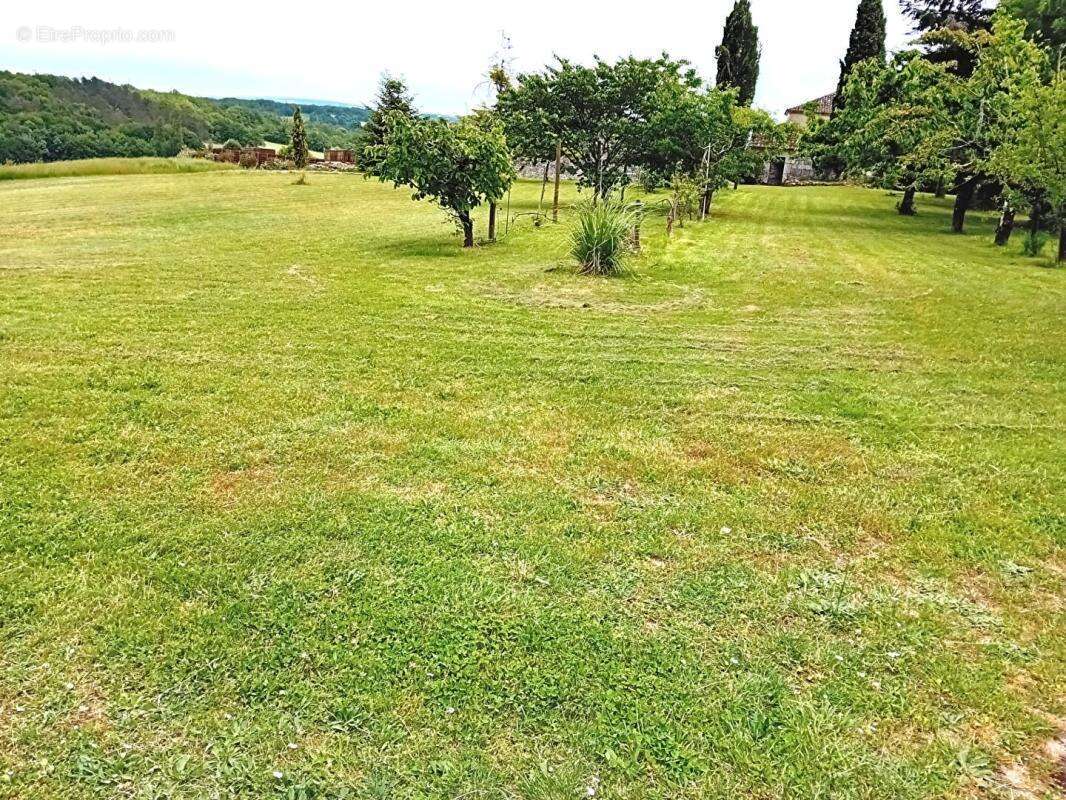 Maison  et gîte 9 pièces 2 piscines Grange - photo 16