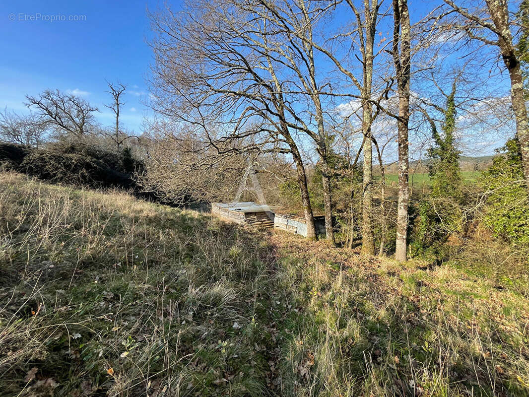 Terrain contructible - 1943 m2 - photo 6