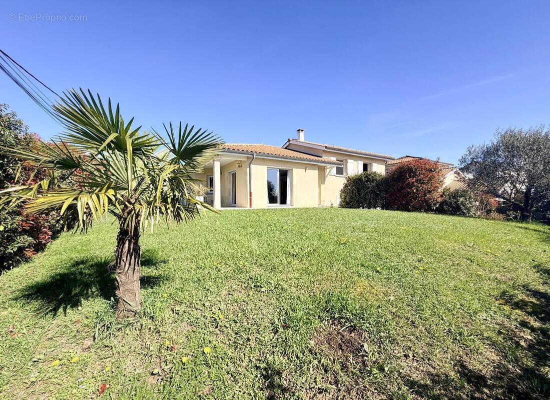 Photo 1 - Maison à MASSIEUX