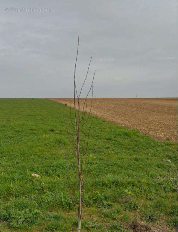 Terrain à SAINT-XANDRE
