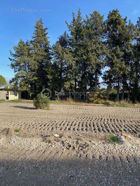 Terrain à ROCHEFORT-DU-GARD