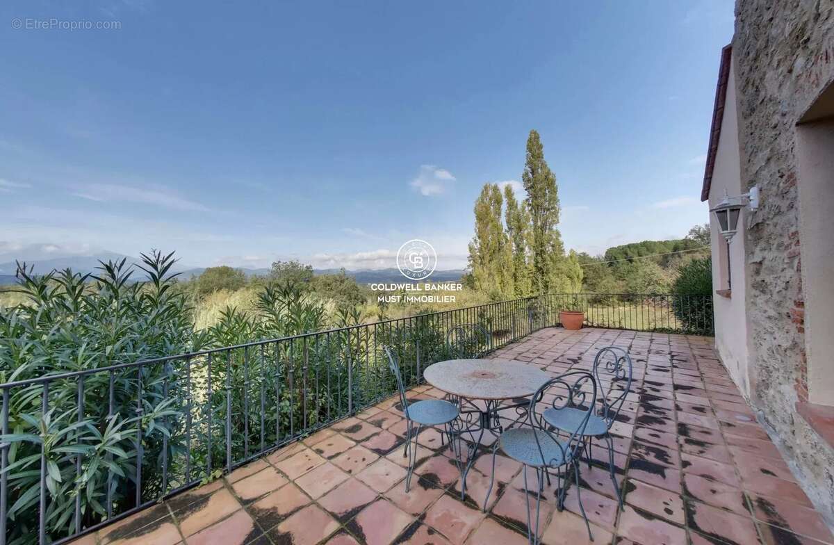 MAS de 295m2 Céret  vue Canigou sur près de 4 Ha - photo 6