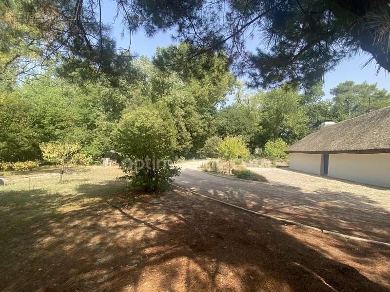 Propriete de charme - vendee - photo 21