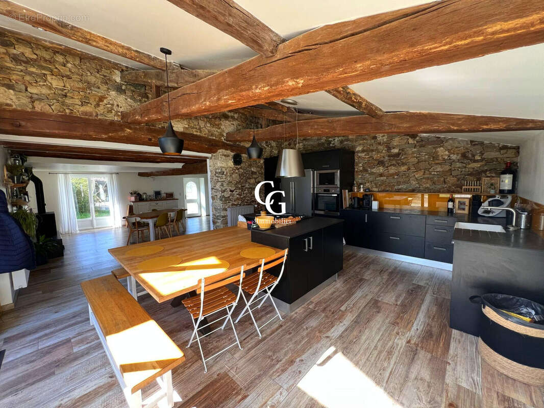 Maison à VIEILLEVIGNE