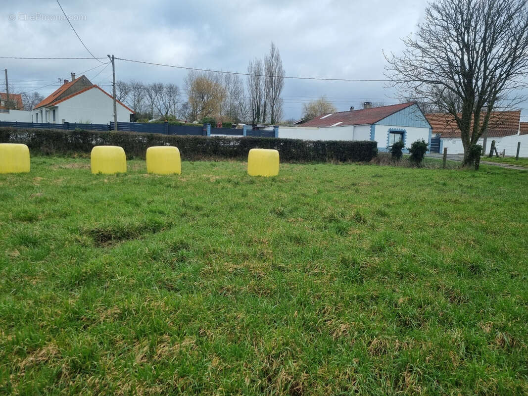 réf 4006 - Très belle opportunité sur LOCQUINGHEN RETY - photo 2