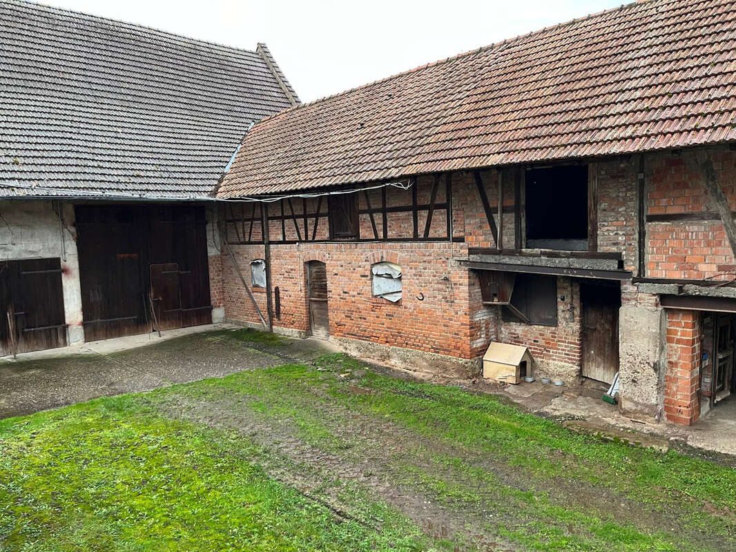 Maison à RIEDSELTZ