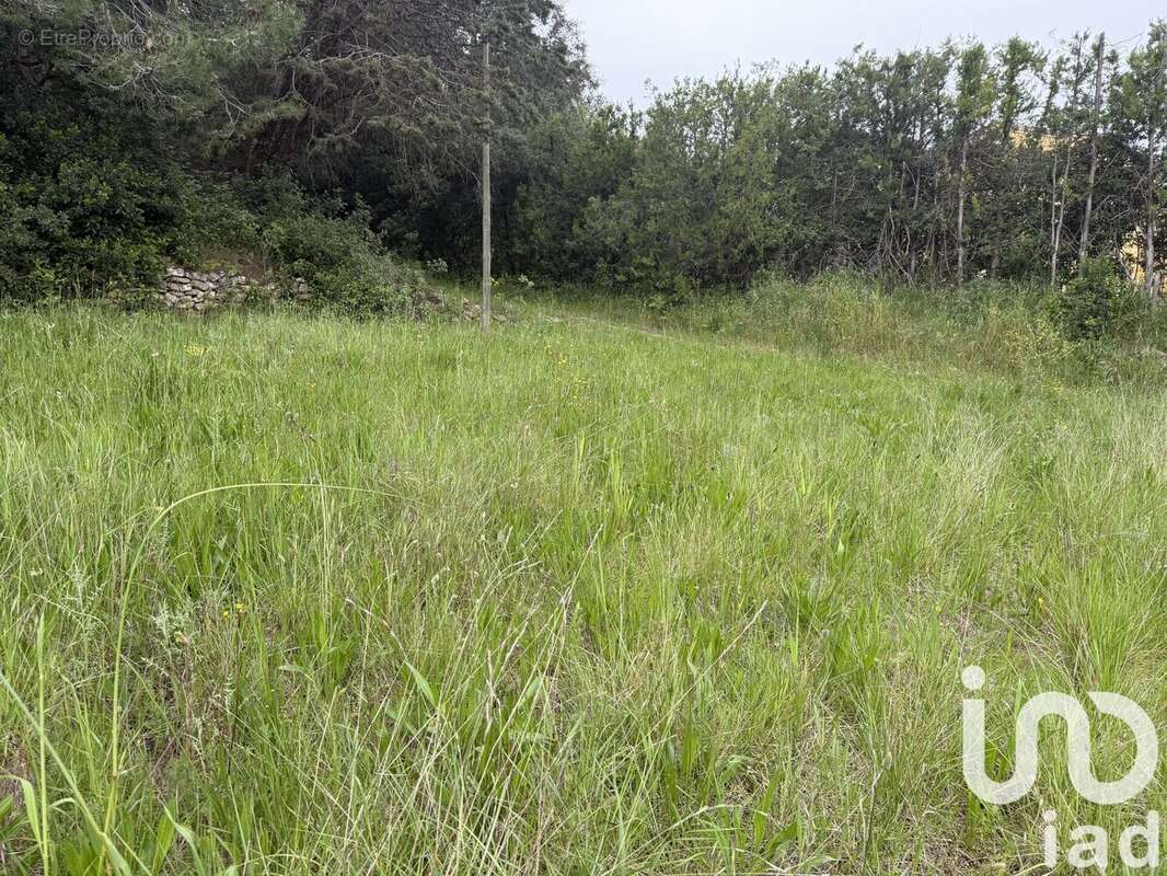 Photo 4 - Terrain à MURVIEL-LES-MONTPELLIER