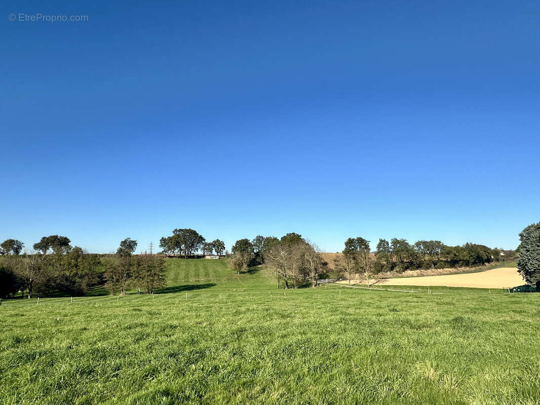 Terrain à CUNAC
