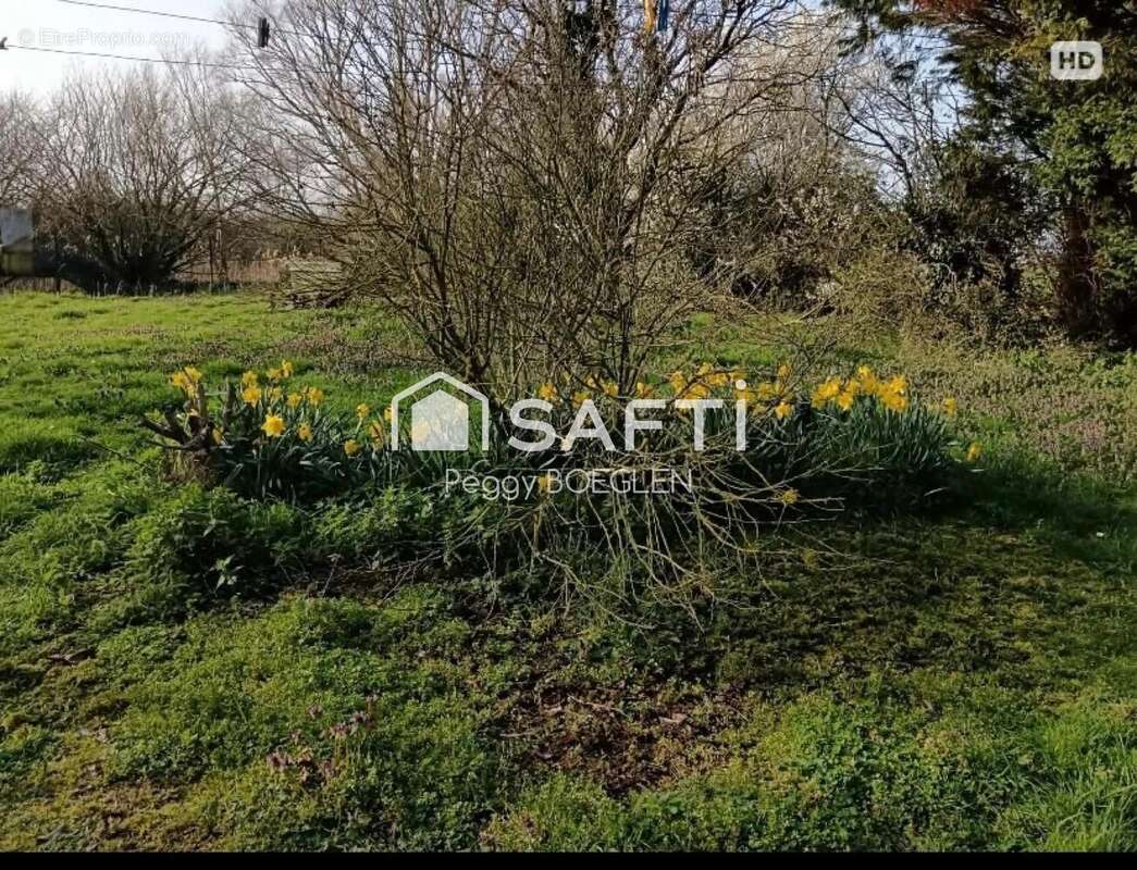 Photo 4 - Terrain à CAPPELLE-BROUCK