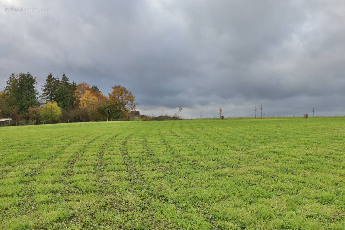 Terrain à ONJON