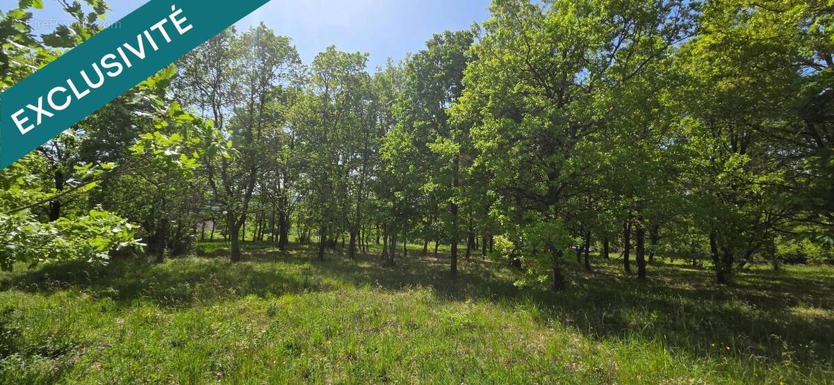 Photo 1 - Terrain à YZEURES-SUR-CREUSE