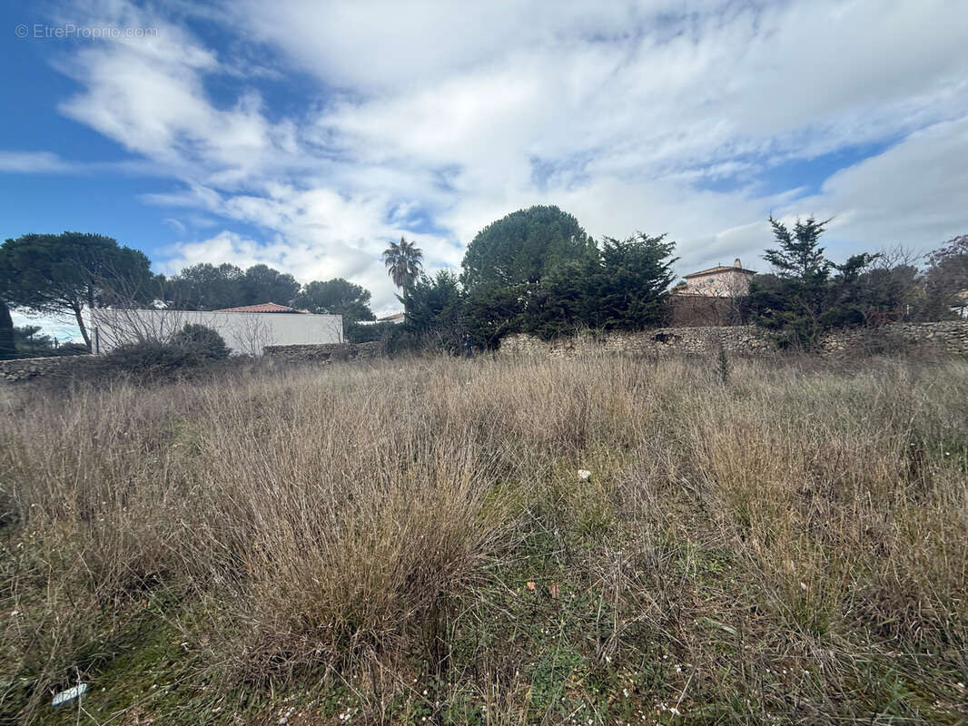 Maison à CASTELNAU-LE-LEZ