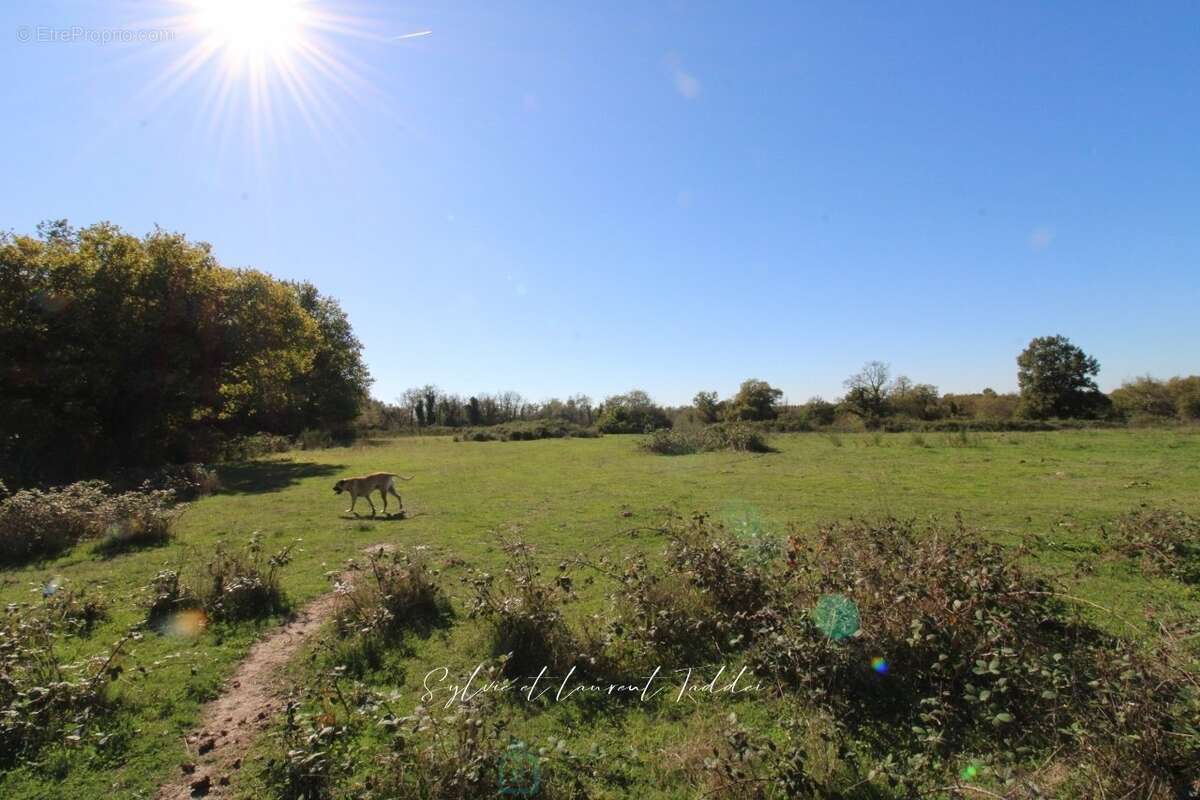 Propriété de 30 hectares  maison en pierre à rénover  dépendances  étangs - photo 3