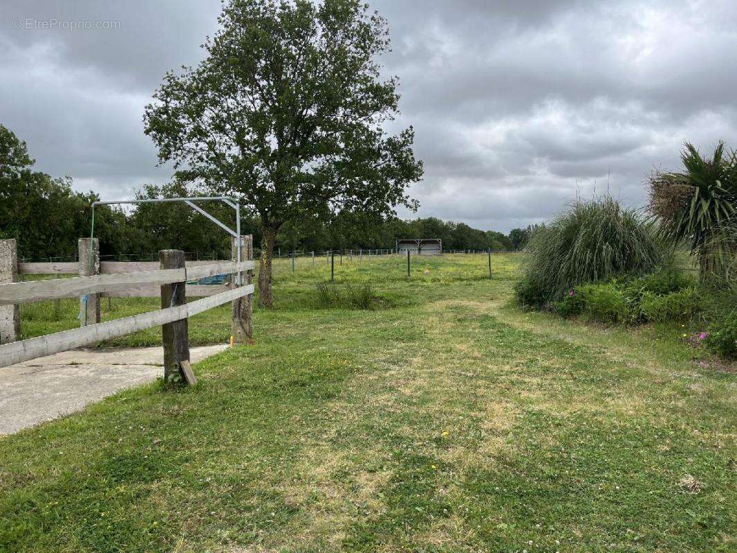 Commerce à LA CHAPELLE-LAUNAY