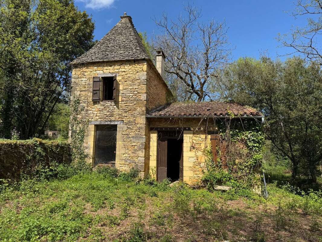 IMG2126 - Maison à BEYNAC-ET-CAZENAC