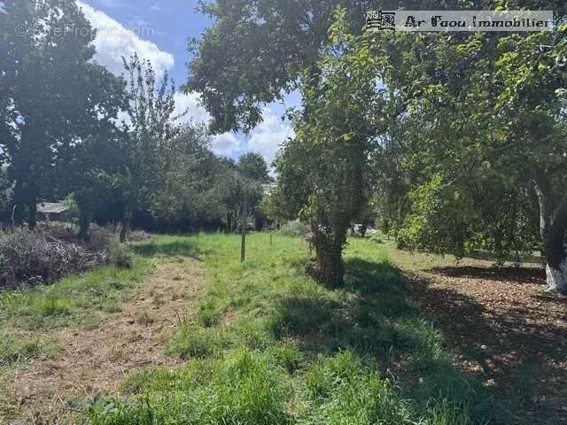 Terrain à HOPITAL-CAMFROUT