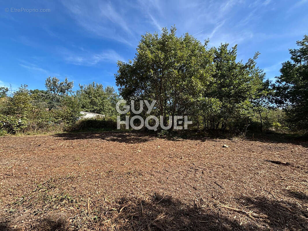 Terrain à CASTELNAU-D&#039;ESTRETEFONDS