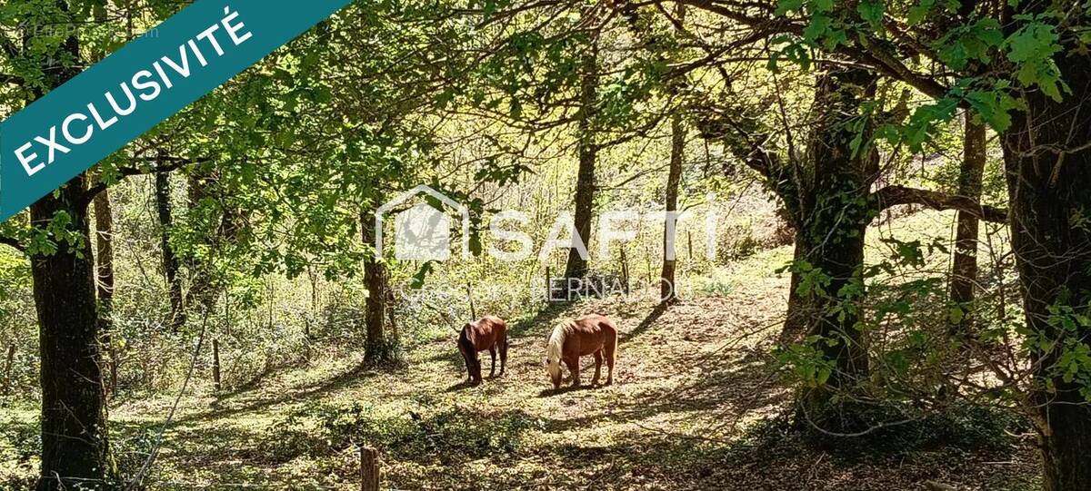 Photo 1 - Maison à USTARITZ