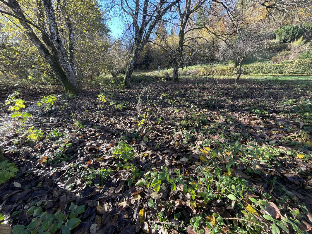 Terrain à PLANCHER-BAS