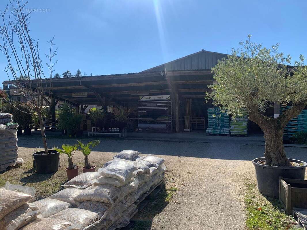 Photo 2 - Commerce à LESPARRE-MEDOC