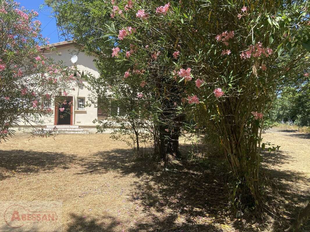 Maison à ROQUES