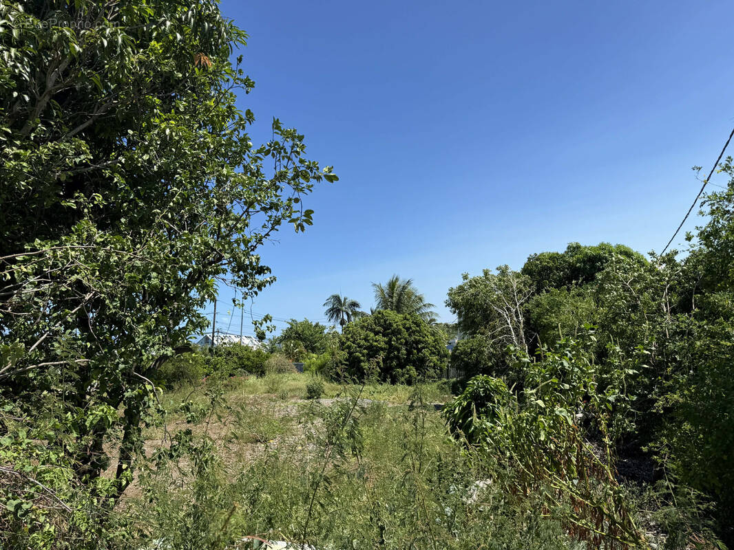 Terrain à SAINT-PIERRE